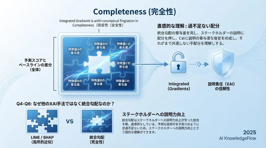 Q4-Q6: なぜ他のXAI手法ではなく統合勾配なのか？ - Section Image