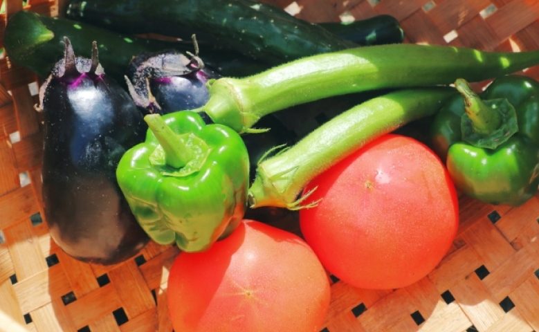 食品ECサイトの成功事例