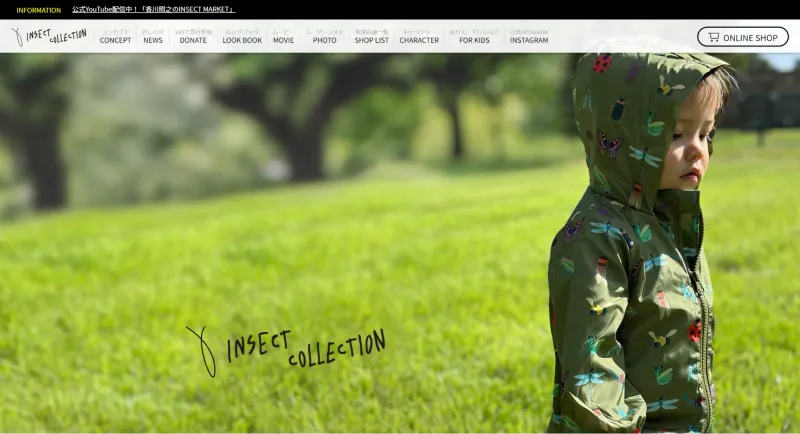 INSECT COLLECTION