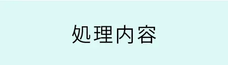 処理内容