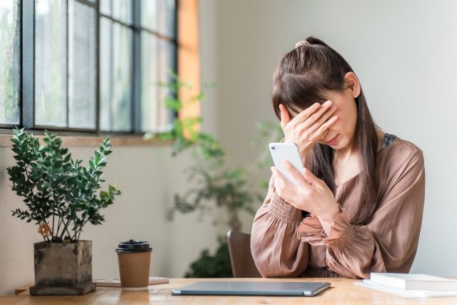 体系化の落とし穴